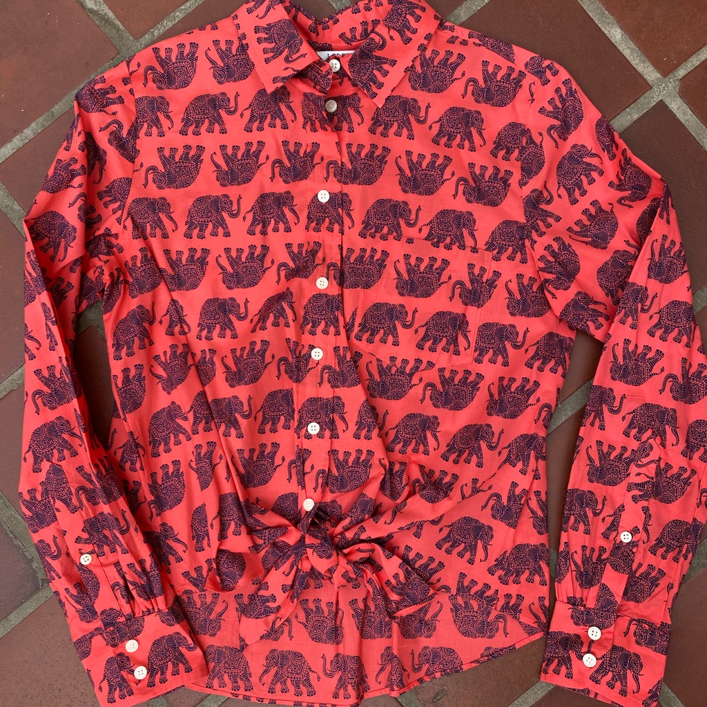 J.Crew Elephant Button Down